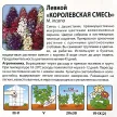 Левкой Королевская смесь 0,2 г