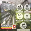 Кабачок цукини Зебра 1,5 г Кольчуга