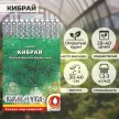 Укроп Кибрай 2 г Кольчуга