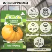 Томат Илья Муромец 0,2 г Поиск