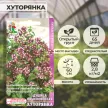 Душица обыкновенная Хуторянка 0,01 г