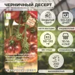 Томат Черничный Десерт 12 шт