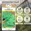 Щавель Крупнолистный 1 г