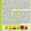 Щавель Широколистный 0,5 г Семена Алтая
