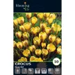 Крокус ботанический Джипси Герл 10 шт BL