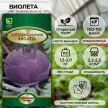 Капуста кольраби Виолета 0,5 г Поиск