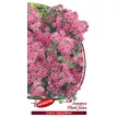 Агератум Пинк бол 1 г Агрони