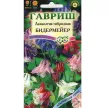 Аквилегия Бидермейер смесь 1 г Агрони