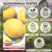 Дыня Колхозница 749/753 1 г Агрони