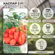 Томат Каспар 2 F1 0,05 г