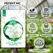 Капуста цветная Регент МС 0,5 г XS