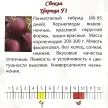 Свекла столовая Царица F1, 2 г XS