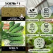 Огурец Газель F1 (А)