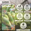 Редька Харбин 1 г