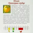 Томат Оранжевое сердце 0,1 г