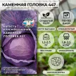 Капуста краснокочанная Каменная Головка 447 0,5 г