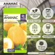 Дыня Ананас 1 г