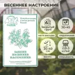 Базилик Весеннее Настроение 0,2 г Седек