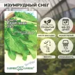 Щавель Изумрудный снег 0,5 г серия Заморозь