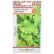 Салат листовой Горчица салатная Волнушка