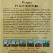Огурец Крохотуля F1, 10 шт