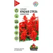 Сальвия (Шалфей) Красная стрела 0,05 г