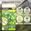 Петрушка листовая Богатырь 2 г