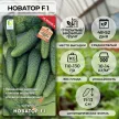 Огурец Новатор F1 (А) 12 шт
