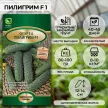 Огурец Пилигрим F1 (А) 12 шт