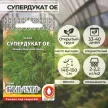 Укроп Супердукат ОЕ Кольчуга NEW 2 г Русский огород