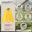 Кабачок Саншайн F1 5 шт