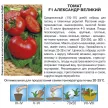 Томат Александр Великий F1, 0,03 г