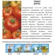 Томат Бутуз 0,1 г