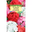 Пеларгония зональная Кабаре F2, 4 шт