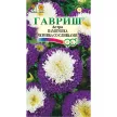 Астра помпонная Пампушка черника со сливками 0,3 г
