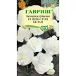 Бегония клубневая Нон-стоп белая F1 пробирка 4 шт