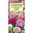 Гвоздика бородатая (турецкая) Байер махровая смесь 0,1 г