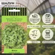 Базилик овощной Шалун 0,1 г