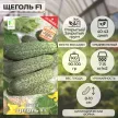 Огурец Щеголь F1, 12 шт