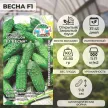 Огурец Весна F1, 0,2 г