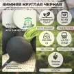 Редька Зимняя Круглая Черная 2 г