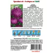 Астра Графиня (китайская) 0,2 г