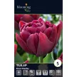 Тюльпан махровый ранний Элисон Бредли 5 шт