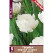 Тюльпан махровый поздний Ап Уайт 5 шт