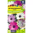 Остеоспермум Смесь эклона низкорослая 0,1 г