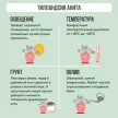 Тилландсия Анита d9 см 7цветов