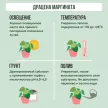 Драцена Маргината W d17 см h80 см