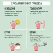 Хризантема Chryst грандеза 13х35 см