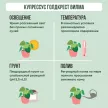 Купрессус Голдкрест Вилма d8,5 см