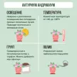 Антуриум Андрианум d17 см h60 см